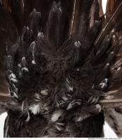 bird skin feather 0016
